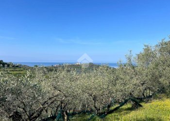 Terreno agricolo Salita San Bernardo, Lavagna - foto 1