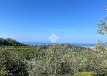 Terreno agricolo Salita San Bernardo, Lavagna - foto 2