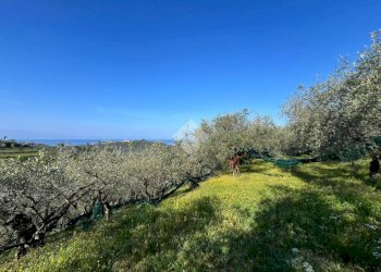 Terreno agricolo Salita San Bernardo, Lavagna - foto 3