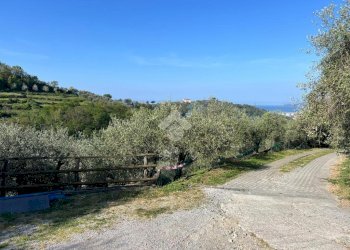 Terreno agricolo Salita San Bernardo, Lavagna - foto 4