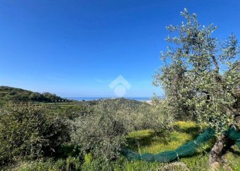Terreno agricolo Salita San Bernardo, Lavagna - foto 5