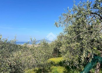 Terreno agricolo Salita San Bernardo, Lavagna - foto 6