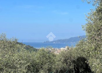 Terreno agricolo Salita San Bernardo, Lavagna - foto 8