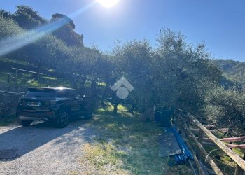 Terreno agricolo Salita San Bernardo, Lavagna - foto 11