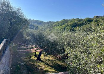 Terreno agricolo Salita San Bernardo, Lavagna - foto 14