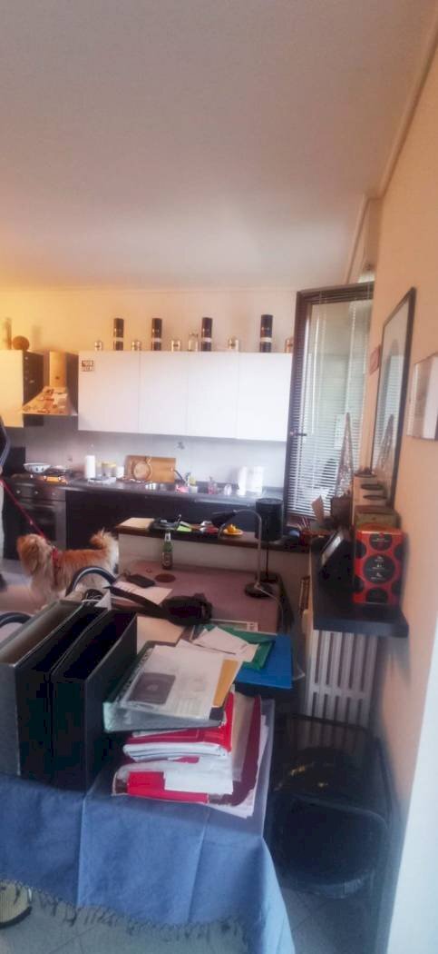 Three-room apartment Via Madonna del Colletto, Borgo San Dalmazzo - photo 2