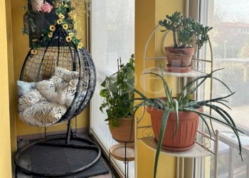 Trilocale Sant'Agata Bolognese - foto 10