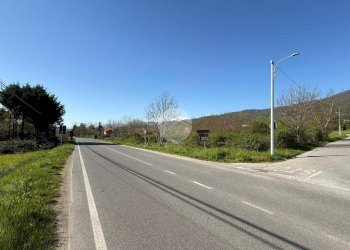Terreno agricolo Via Delio Godino, San Secondo di Pinerolo - foto 2