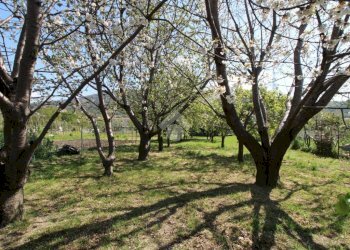 Villa a Schiera Via parma, Chiavari - foto 40