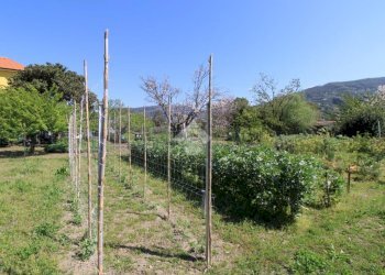 Villa a Schiera Via parma, Chiavari - foto 43