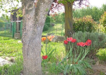 Casa semi indipendente Str. Rastello, Antignano - foto 6