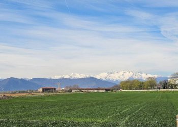 Quadrilocale Beinasco - foto 33