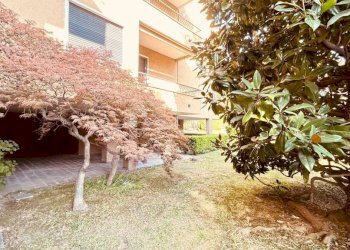 Trilocale Monza - foto 4