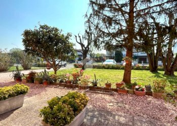 Trilocale Via giuriolo, Molinella - foto 17