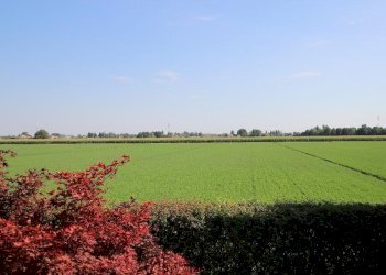 Portion of a house Sala Bolognese - photo 29
