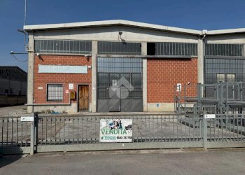 Capannone Via Bora, Bagnacavallo - foto 3