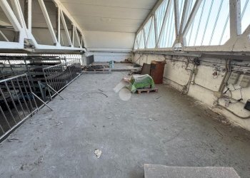 Capannone Via Bora, Bagnacavallo - foto 29