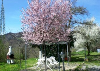 Cascina Via, Acqui Terme - foto 8