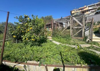 Foto 35 - Appartamento Via Achille Grandi
 
36, Monterotondo - foto 35