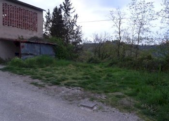 Foto 4 - Rustico Montespertoli - foto 4