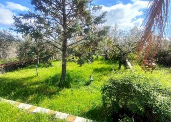 Foto 2 - Casa indipendente via IV Novembre
 
156, Zafferana Etnea - foto 2