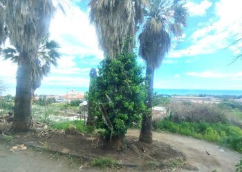 Foto 6 - Commercial Premises via Igea
 
88, Acireale - photo 6