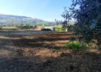 Foto 8 - Casa indipendente c.da moresco vecchio
 
7, Moresco - foto 8