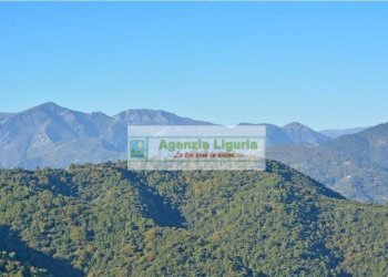 Foto 4 - Appartamento Perinaldo - foto 4