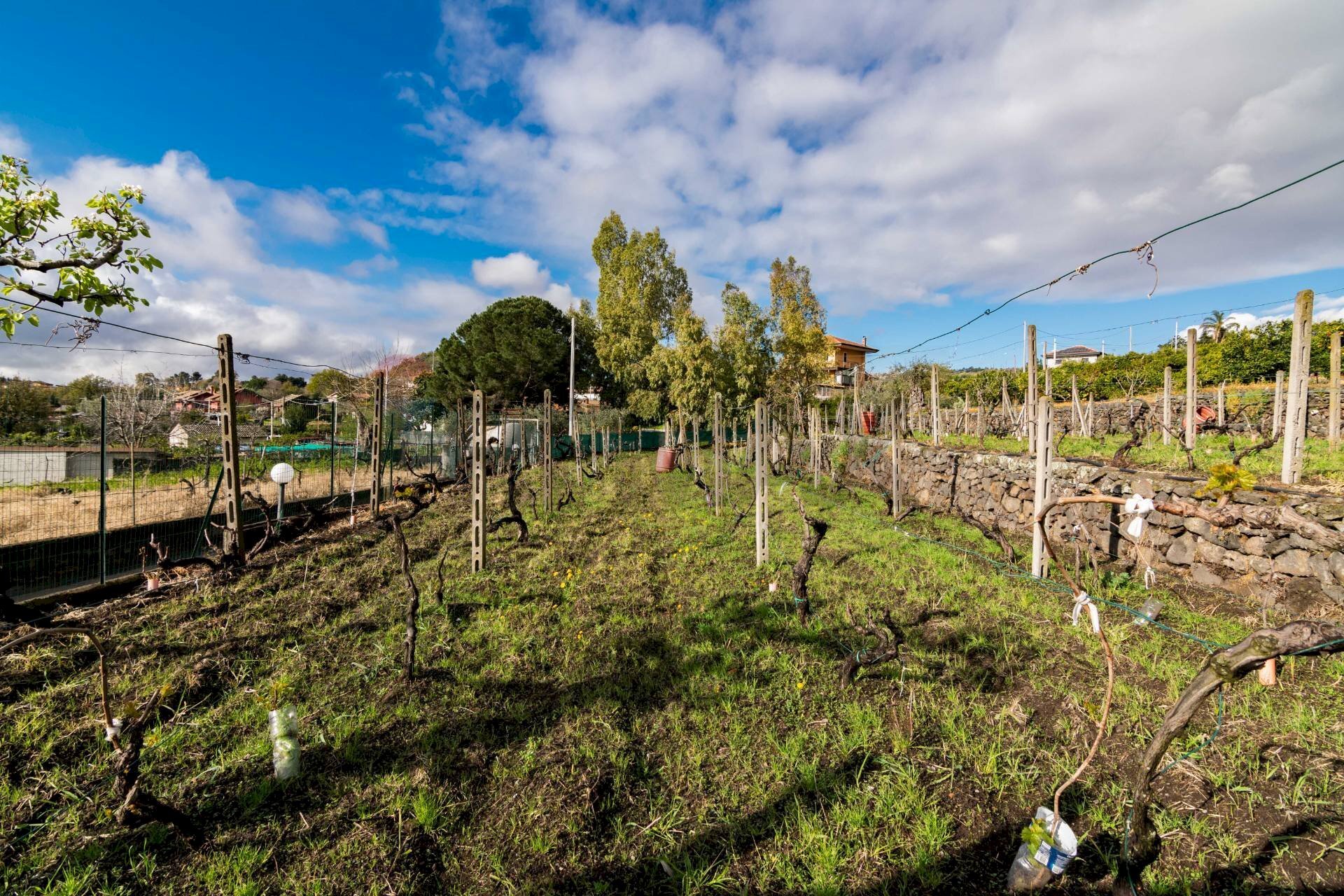 Giardino - Terreno edificabile Via Chiuzza
 
23, Viagrande - foto 2