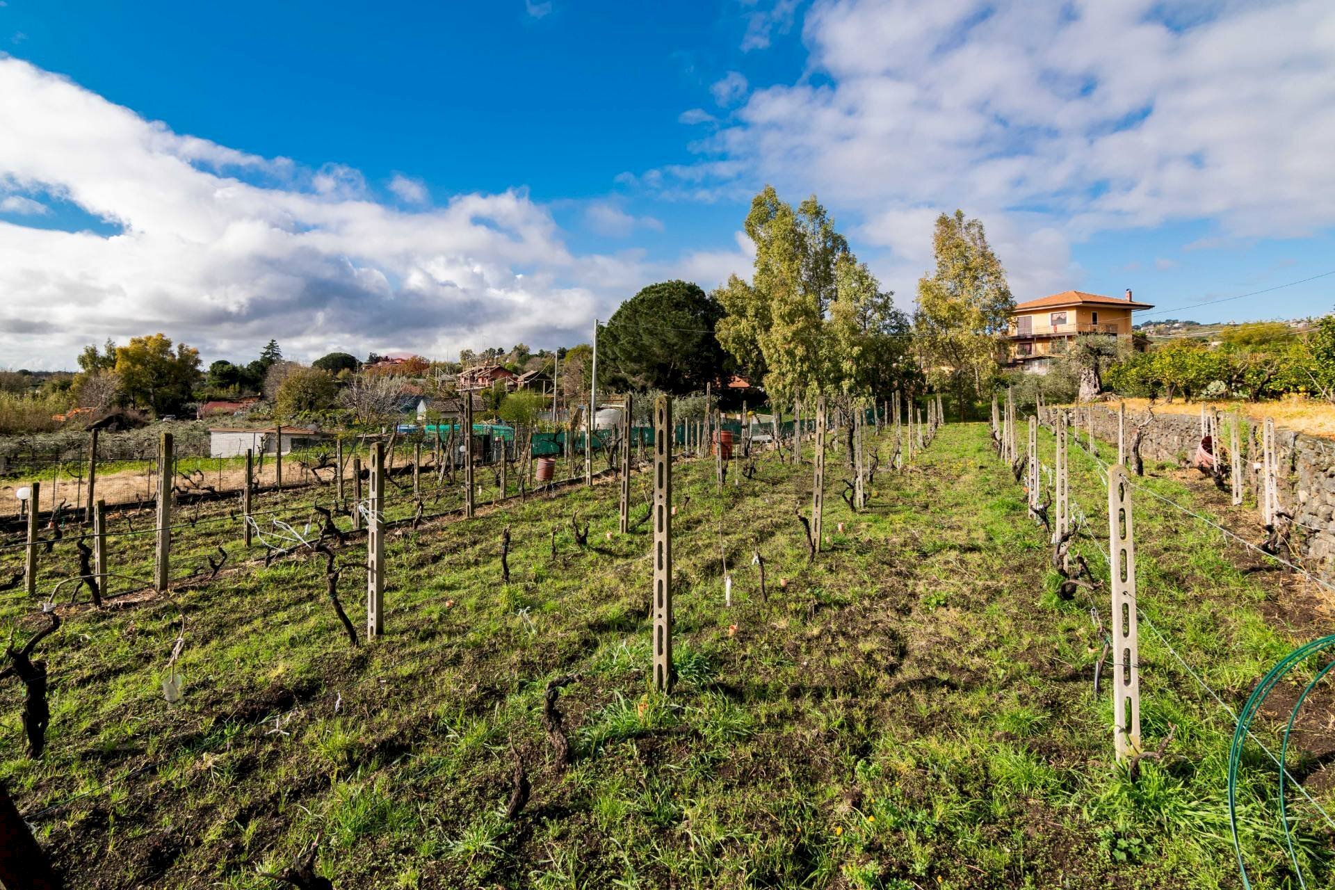 Giardino - Terreno edificabile Via Chiuzza
 
23, Viagrande - foto 1