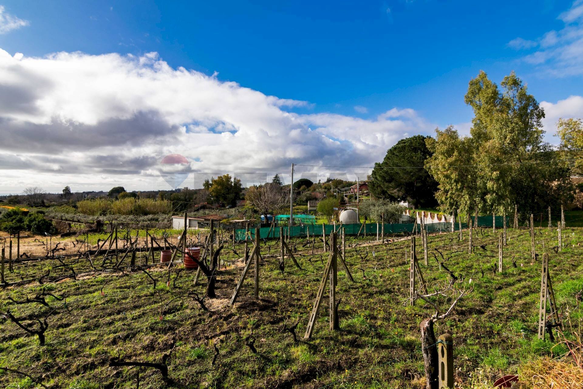 Giardino - Terreno edificabile Via Chiuzza
 
23, Viagrande - foto 3