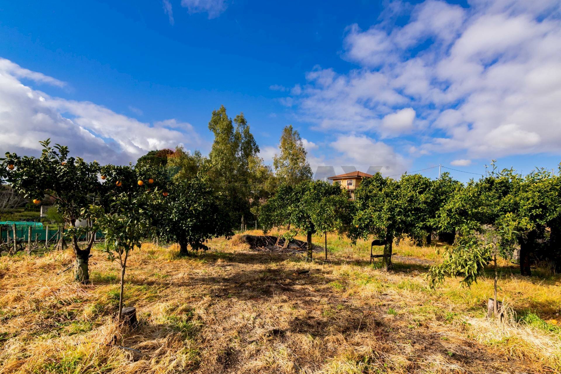 Giardino - Terreno edificabile Via Chiuzza
 
23, Viagrande - planimetria 1