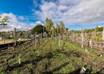 Giardino - Terreno edificabile Via Chiuzza
 
23, Viagrande - foto 2