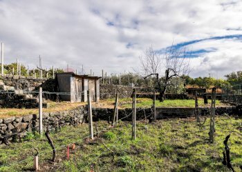 Giardino - Terreno edificabile Via Chiuzza
 
23, Viagrande - foto 7