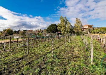 Giardino - Terreno edificabile Via Chiuzza
 
23, Viagrande - foto 1