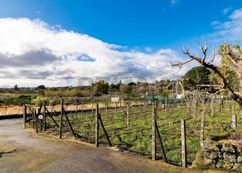 Giardino - Terreno edificabile Via Chiuzza
 
23, Viagrande - foto 5