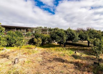 Giardino - Terreno edificabile Via Chiuzza
 
23, Viagrande - foto 11