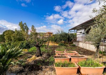 Giardino - Terreno edificabile Via Chiuzza
 
23, Viagrande - foto 12