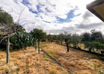 Giardino - Terreno edificabile Via Chiuzza
 
23, Viagrande - foto 14