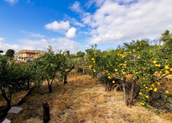 Giardino - Terreno edificabile Via Chiuzza
 
23, Viagrande - foto 4