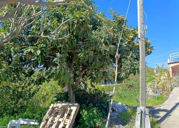 Giardino - Casa indipendente Via Vescovado
 
6, Mascali - foto 37