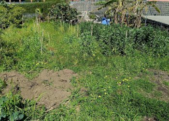 Giardino - Casa indipendente Via Vescovado
 
6, Mascali - foto 38