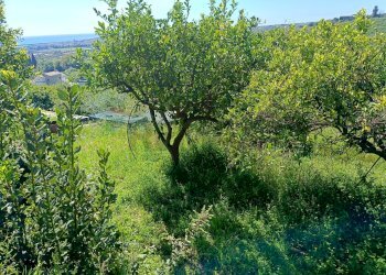 Giardino - Casa indipendente Via Vescovado
 
6, Mascali - foto 40