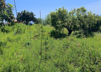 Giardino - Casa indipendente Via Vescovado
 
6, Mascali - foto 41