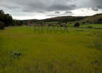 Giardino - Rustic contrada molara, Caltagirone - photo 4