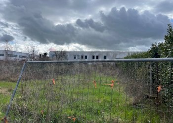 Giardino - Terreno edificabile Perugia - foto 11