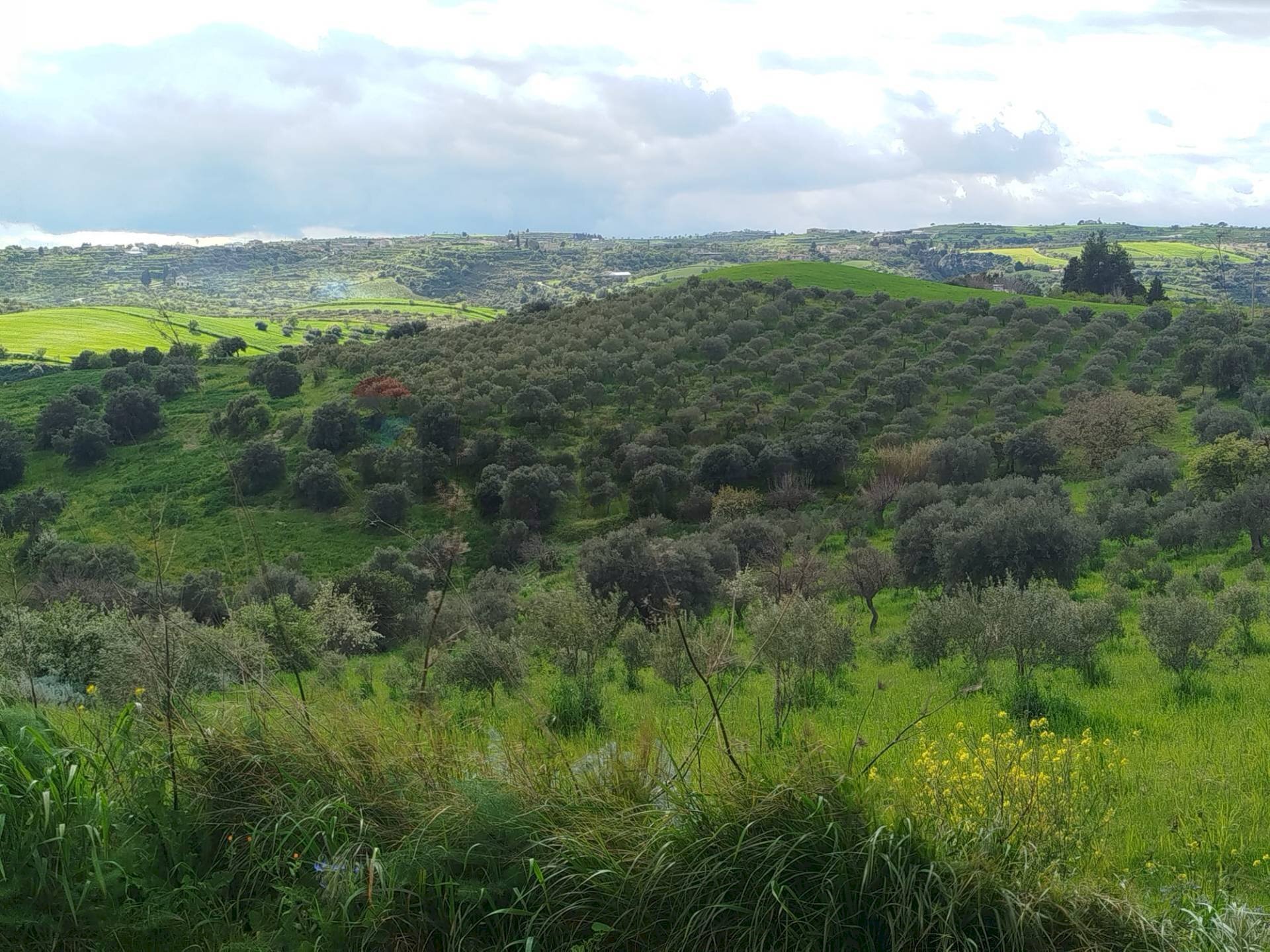 Vista delle montagne - Terreno agricolo Contrada Giannavì- Contrada Ciappa, Palazzolo Acreide - foto 2