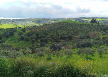 Vista delle montagne - Terreno agricolo Contrada Giannavì- Contrada Ciappa, Palazzolo Acreide - foto 2