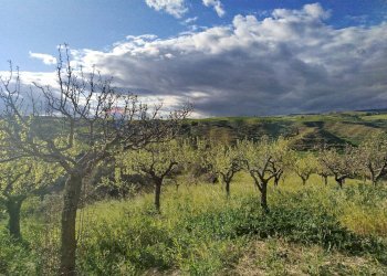 Vista delle montagne - Terreno agricolo Contrada Giannavì- Contrada Ciappa, Palazzolo Acreide - foto 4