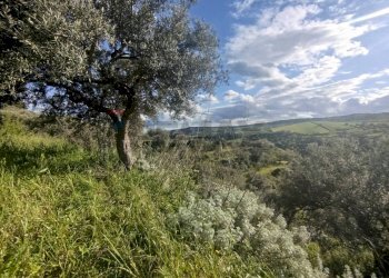 Vista delle montagne - Terreno agricolo Contrada Giannavì- Contrada Ciappa, Palazzolo Acreide - foto 6
